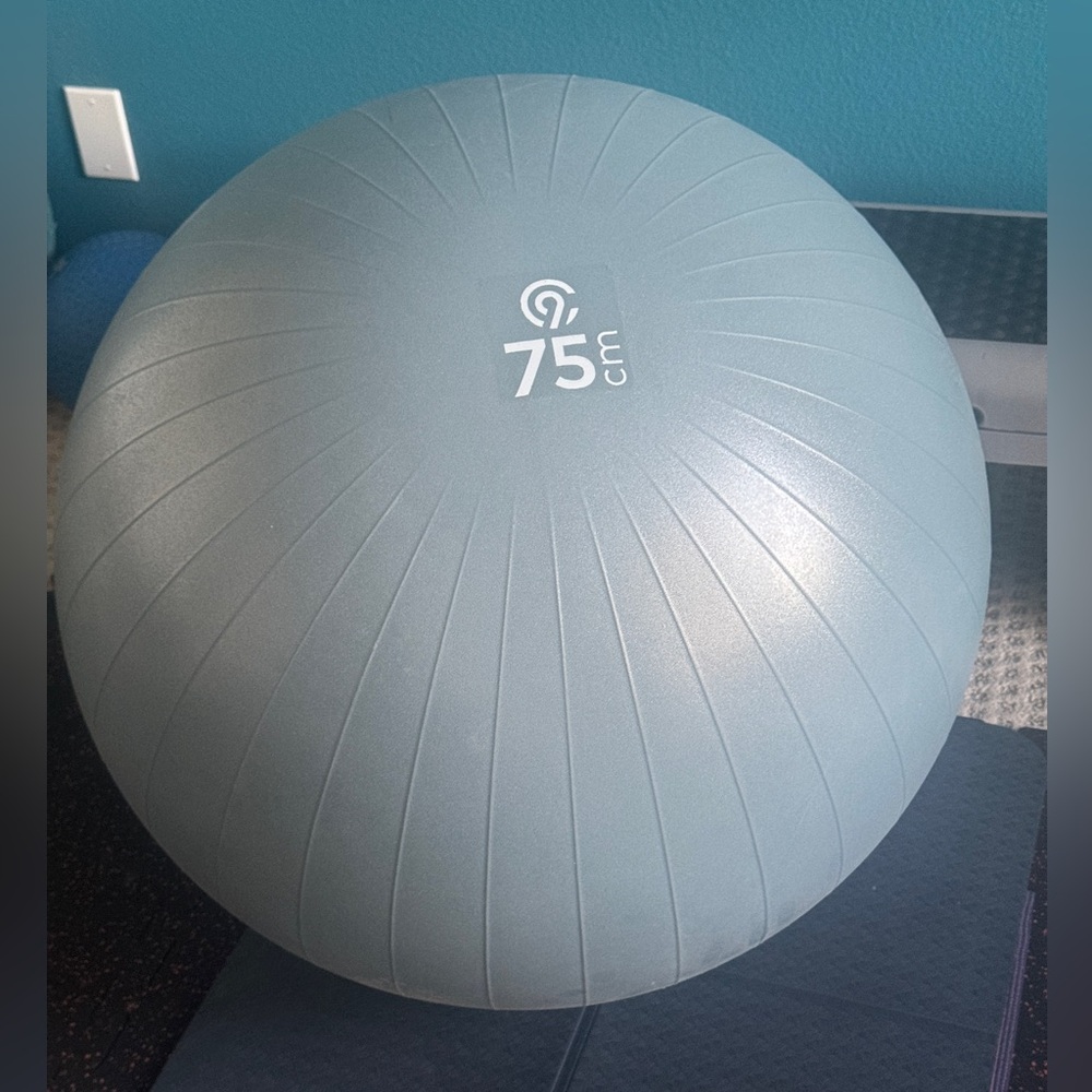 C9 By Champion Exercise Ball 75cm Gray
